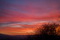 Dramatic sky view at sunset, tree silhouettes against purple clouds Royalty Free Stock Photo