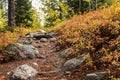 snow capped mountain and autumn foliage in Grand Teton Royalty Free Stock Photo