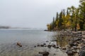 snow capped mountain and autumn foliage in Grand Teton Royalty Free Stock Photo