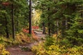 snow capped mountain and autumn foliage in Grand Teton Royalty Free Stock Photo