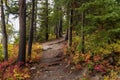 snow capped mountain and autumn foliage in Grand Teton Royalty Free Stock Photo