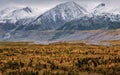 Snow-capped mountain range in Alaska with the forest below. Royalty Free Stock Photo