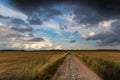 Dramatic storm clouds over fields. Country landscape. Windy weather. Plain field against the background of dark sky Royalty Free Stock Photo