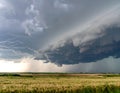 Dramatic storm cloudscape over wheat fields, symbolizing power and change. Lightning strikes emphasize the aweinspiring force of Royalty Free Stock Photo