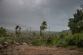 Dramatic stormy cloud sky above tropical palms trees. Storm Pabuk, Thailand.