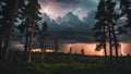 Dramatic stormy sky, pine forest