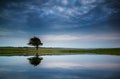 Dramatic stormy sky reflected in dew pond countryside landscape