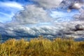 Dramatic clouds in a stormy sky with closeup of grass. Royalty Free Stock Photo