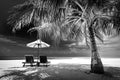 Dramatic summer beach landscape. Luxury vacation and holiday concept, summer travel in black and white. Panoramic landscap Royalty Free Stock Photo
