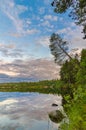 Dramatic summer sunset and pines at Tuloma river, Kola Peninsula, Murmansk region, Russia