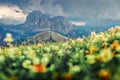 Dramatic summer view of Sassolungo Langkofel and Sella group, National Park Dolomites, South Tyrol, Italy, Europe. Splendid