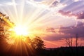 Sun flare Royalty Free Stock Photo