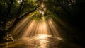 Sunbeams Through Forest Canopy Illuminating a Gentle River Royalty Free Stock Photo