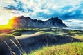 Dramatic sunny day and gorgeous rippled black sand beach and green grass on Stokksnes cape in Iceland