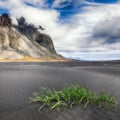 Dramatic sunny day and gorgeous rippled black sand beach and green grass on Stokksnes cape in Iceland