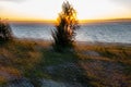 dramatic sunrise over the baltic sea with rocky beach and trees Royalty Free Stock Photo