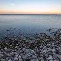 dramatic sunrise over the baltic sea with rocky beach and trees Royalty Free Stock Photo