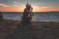 dramatic sunrise over the baltic sea with rocky beach and trees Royalty Free Stock Photo