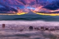 Dramatic Sunrise over Foggy Downtown Portland Royalty Free Stock Photo