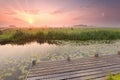 Dramatic sunrise over river with pier and cattle on pasture Royalty Free Stock Photo