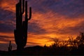 A dramatic sunrise sunset in Sonoran desert Arizona Royalty Free Stock Photo