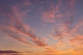 Dramatic sunrise, sunset pink orange violet blue sky with cirrus clouds in sunlight Royalty Free Stock Photo