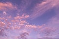 Dramatic sunrise, sunset pink violet blue sky with fluffy cirrus clouds abstract background texture Royalty Free Stock Photo