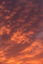 Dramatic sunrise, sunset red orange sky with mammatus  clouds background texture Royalty Free Stock Photo