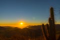 Dramatic Sunset in Atacama Desert: Colorful Sky and Cactus in Foreground Royalty Free Stock Photo