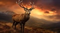 Dramatic sunset with beautiful sky over mountain range giving a strong moody landscape and red deer stag looking strong and proud Royalty Free Stock Photo
