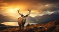 Dramatic sunset with beautiful sky over mountain range giving a strong moody landscape and red deer stag looking strong and proud Royalty Free Stock Photo