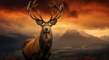 Dramatic sunset with beautiful sky over mountain range giving a strong moody landscape and red deer stag looking strong and proud Royalty Free Stock Photo