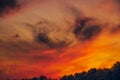 Dramatic sunset - bright red sky with clouds and the silhouette of a forest in the background, beautiful wild nature, landscape Royalty Free Stock Photo