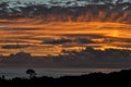 Dramatic sunset on the coast of Pico Island and silhouette of a tree on the shore