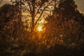 Dramatic sunset on a grassy meadow. Nature background Royalty Free Stock Photo