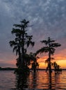 Dramatic Sunset at a Louisiana Bayou Swamp with Bald Cypress Trees Royalty Free Stock Photo
