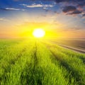 Dramatic sunset over a fields Royalty Free Stock Photo