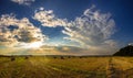 Straw bales in fields farmland with blue cloudy sky at harvesting time. Royalty Free Stock Photo