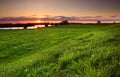 Dramatic sunset over flowering meadow Royalty Free Stock Photo