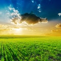 Dramatic sunset over green field Royalty Free Stock Photo