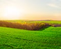 Dramatic sunset over a green summer hill field Royalty Free Stock Photo