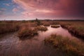 Dramatic sunset over swamp Royalty Free Stock Photo