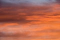 Sunset red sky with clouds horizontal background Royalty Free Stock Photo