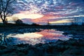 dramatic sunset reflected in puddle, between mud and water sunset is reflected