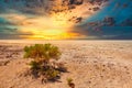 Dramatic sunset at salt lake Kati Thanda Lake Eyre in the Australian outback of South Australia