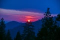 Dramatic sunset at the Sequoia Forest