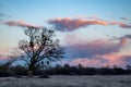 Dramatic sunset sky clouds lonely tree silhouette Royalty Free Stock Photo