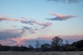 Dramatic sunset sky clouds lonely tree silhouette Royalty Free Stock Photo