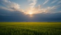 Dramatic sunset sky over a vast green field with sun rays Royalty Free Stock Photo