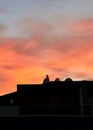 Dramatic sunset sky with shadow of an apartment building roof with a crow Royalty Free Stock Photo